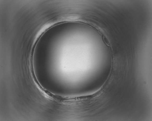 X0000077981432200611031348