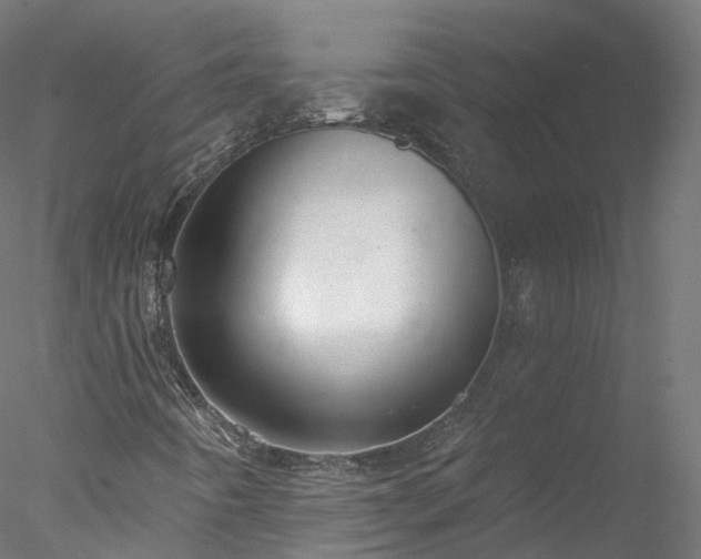 X0000077981442200611031347