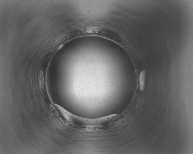 X0000077981443200611031347