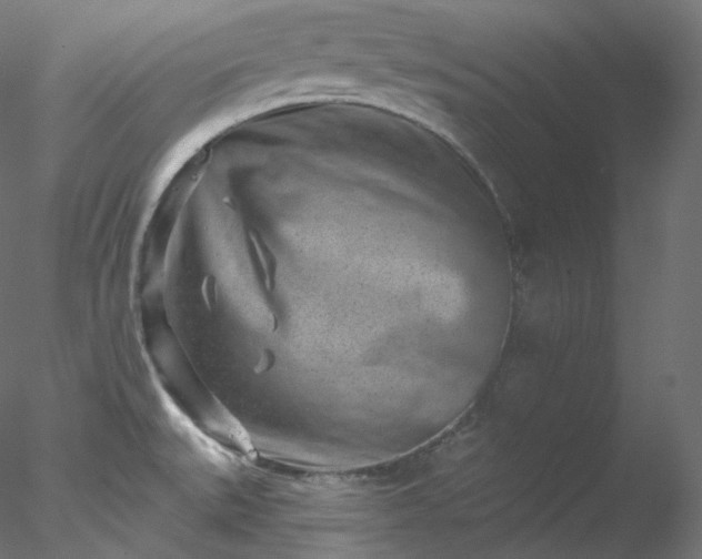 X0000077981527200611031346