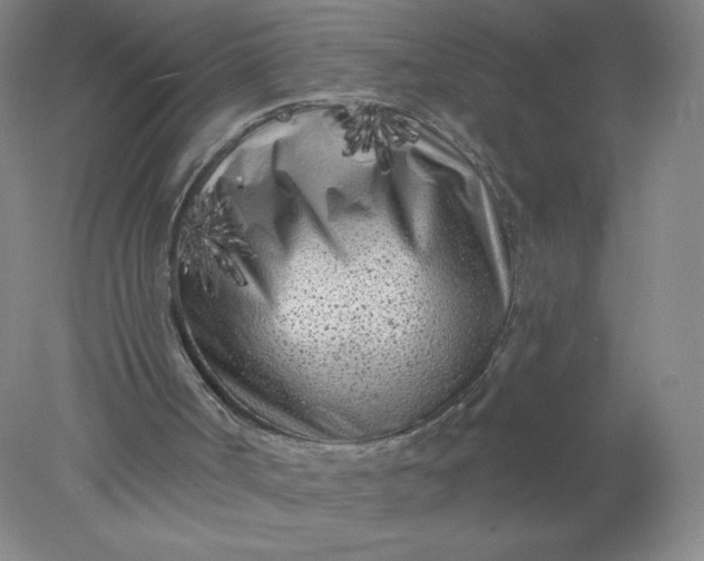 X0000077980002200611101714