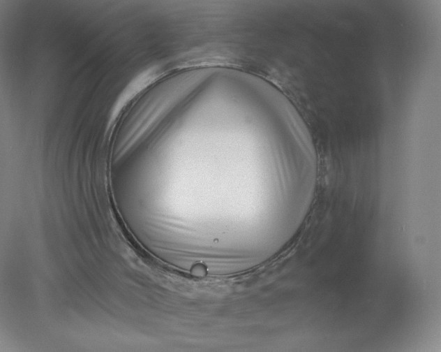 X0000077980004200611101714