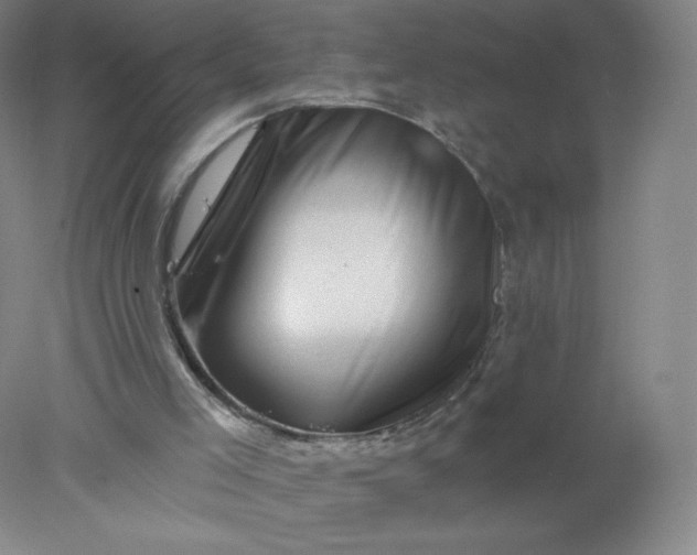 X0000077980005200611101714