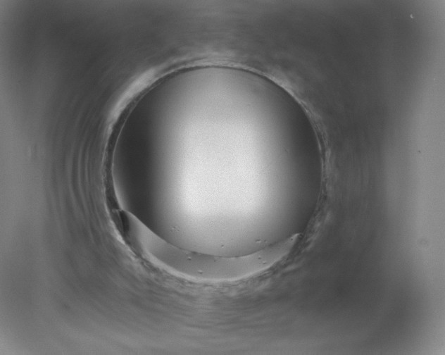 X0000077980007200611101714