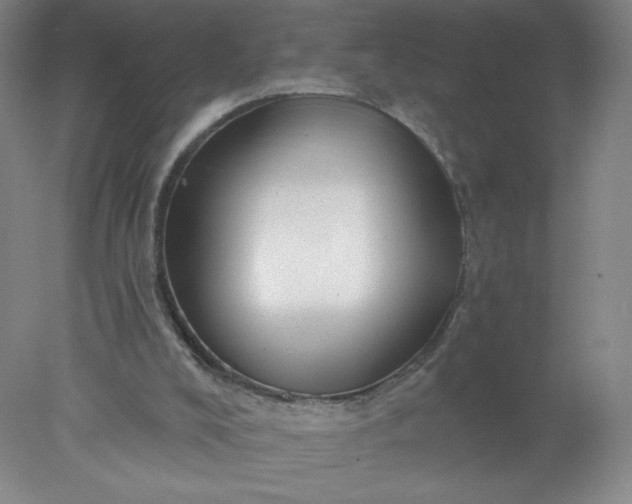 X0000077980008200611101714