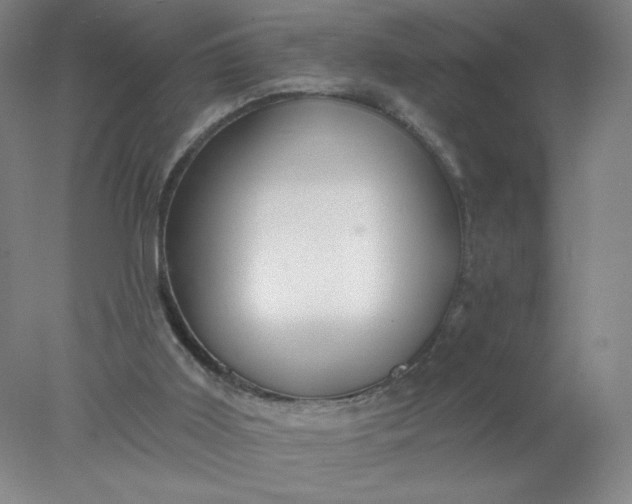 X0000077980011200611101714