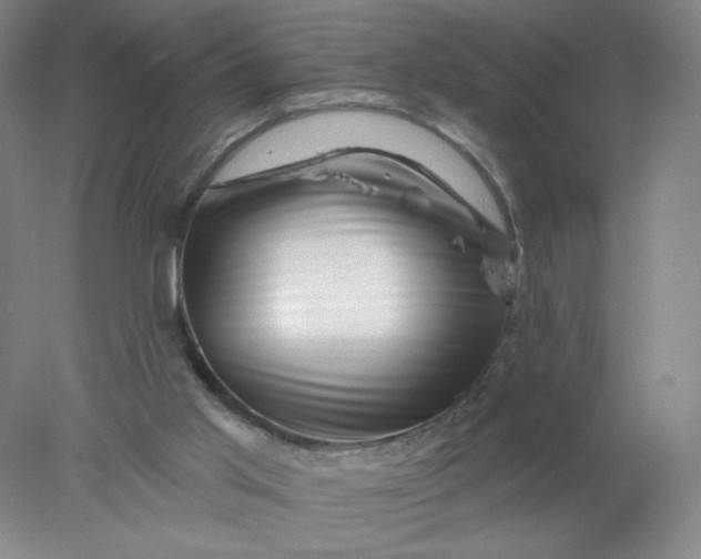 X0000077980013200611101714