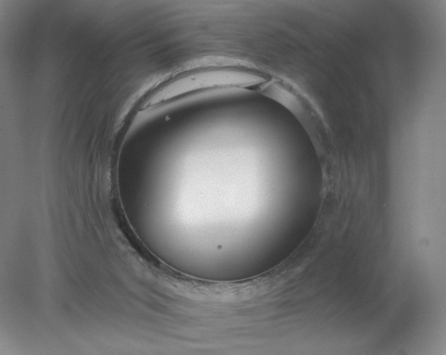 X0000077980015200611101714