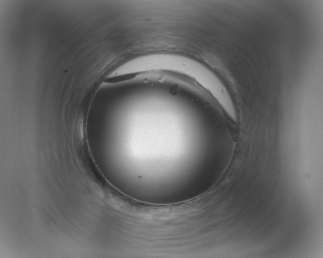 X0000077980021200611101714