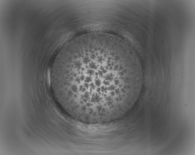 X0000077980022200611101714