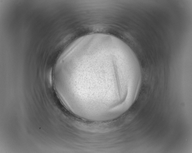 X0000077980028200611101714