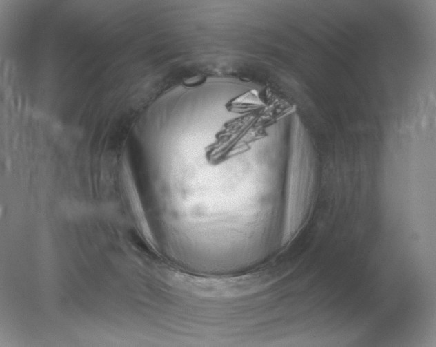 X0000077980030200611101714