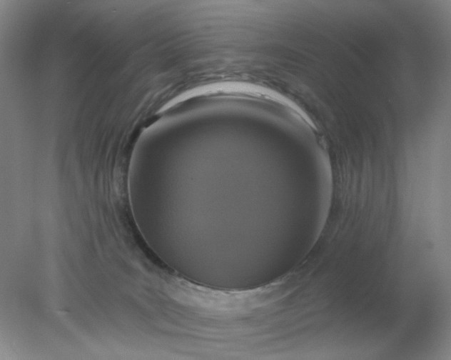 X0000077980035200611101714