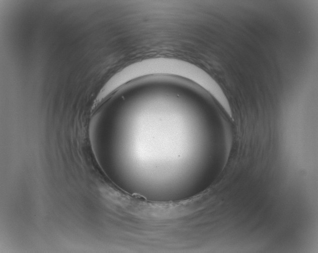 X0000077980037200611101714