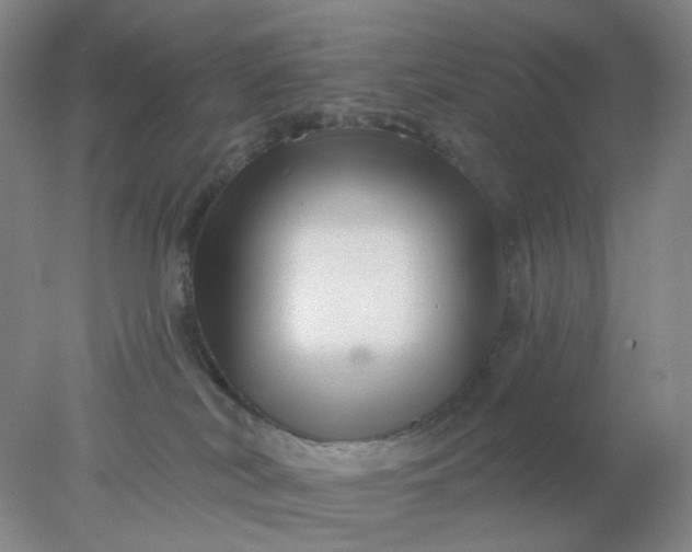 X0000077980038200611101714