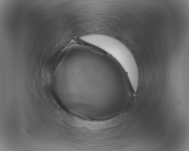 X0000077980039200611101714