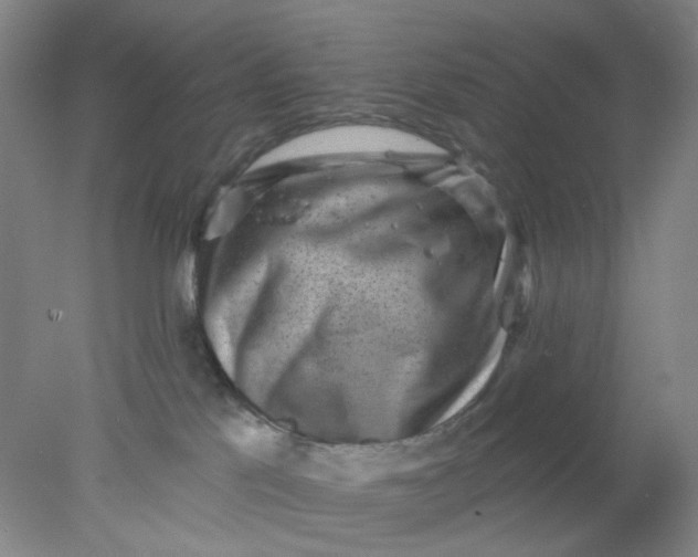 X0000077980041200611101713