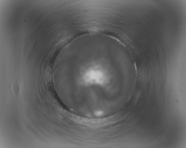 X0000077980043200611101713
