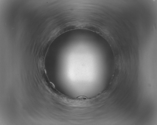 X0000077980044200611101713