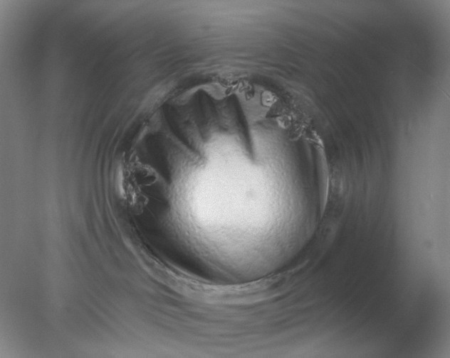 X0000077980046200611101713