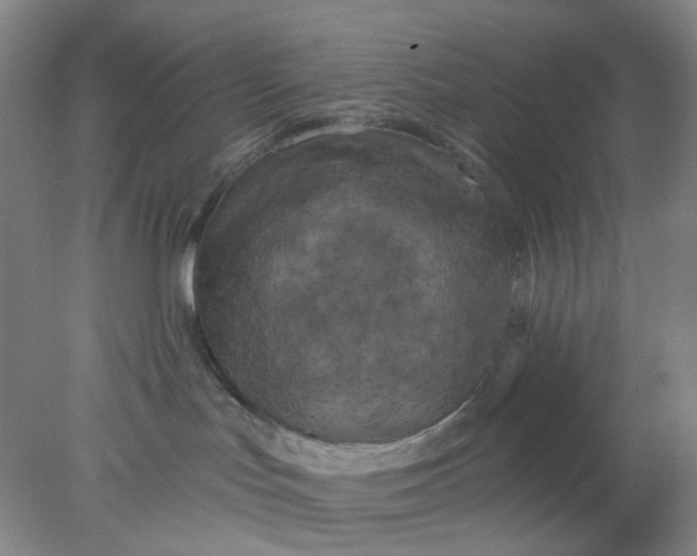 X0000077980047200611101713