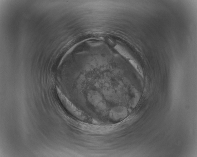 X0000077980048200611101713