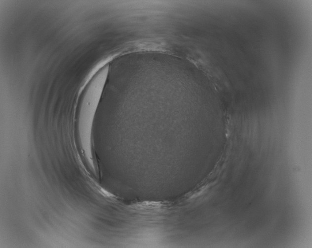 X0000077980052200611101713