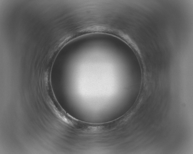 X0000077980057200611101713