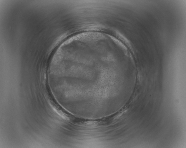 X0000077980059200611101713