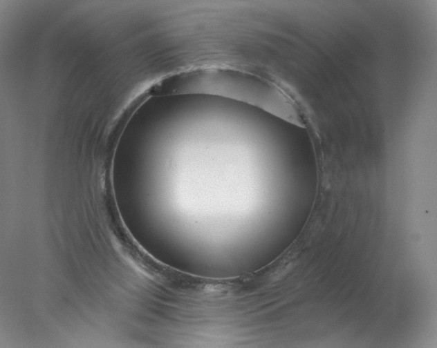 X0000077980060200611101713