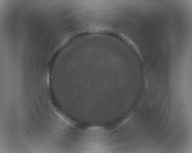 X0000077980067200611101713