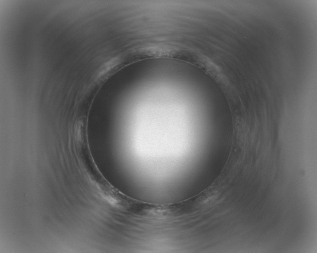 X0000077980071200611101713
