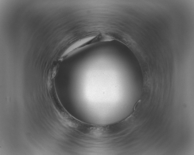 X0000077980074200611101713