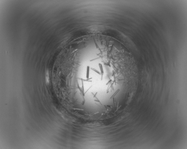 X0000077980075200611101713