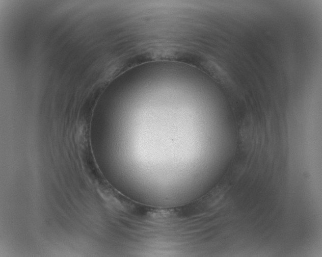 X0000077980079200611101713