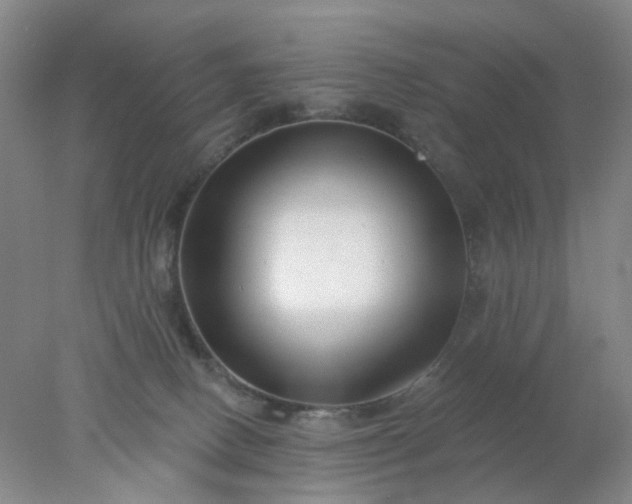 X0000077980082200611101713