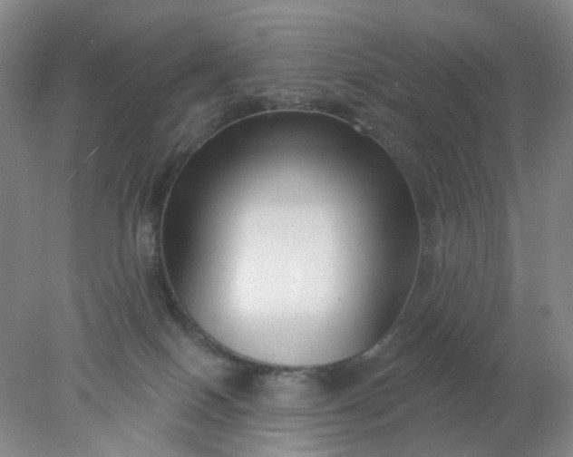 X0000077980086200611101713