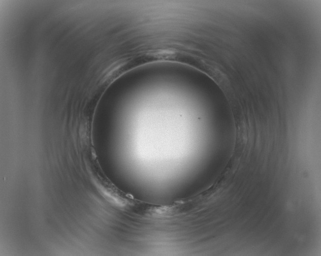 X0000077980092200611101713