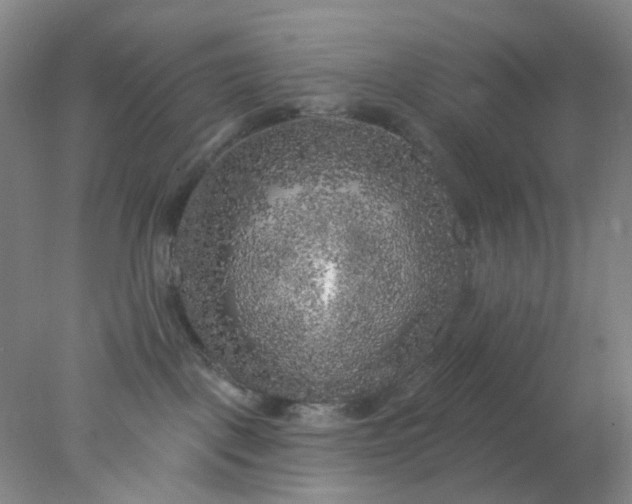 X0000077980093200611101713