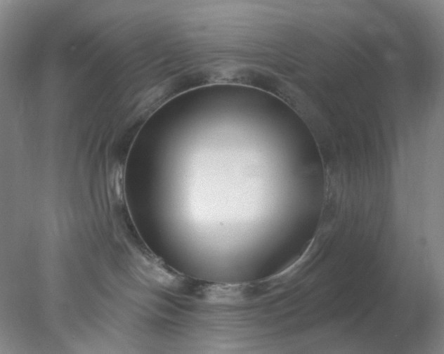 X0000077980094200611101713