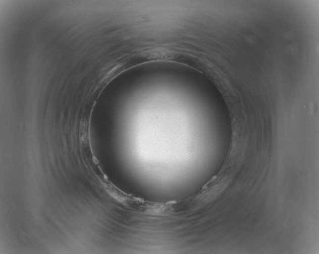X0000077980096200611101713