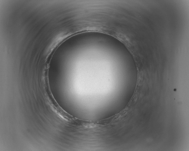 X0000077980098200611101713