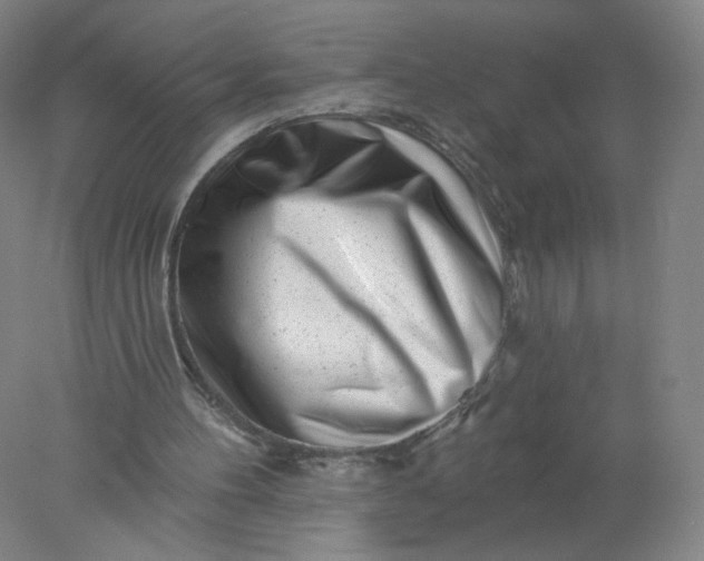 X0000077980100200611101712