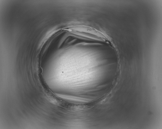 X0000077980103200611101712