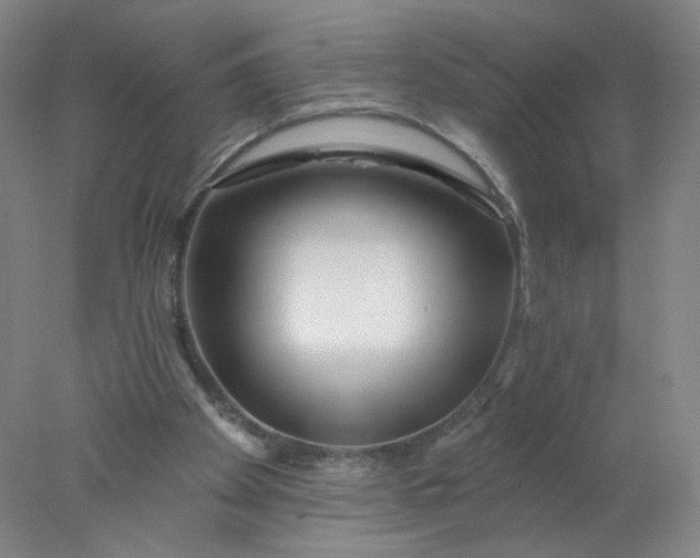 X0000077980105200611101712