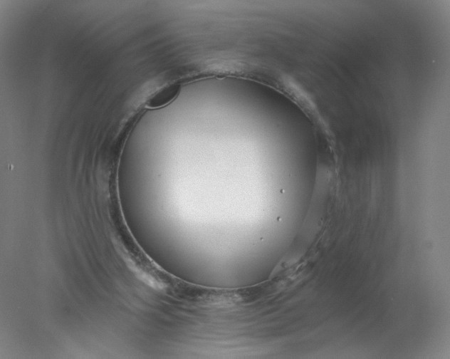 X0000077980106200611101712