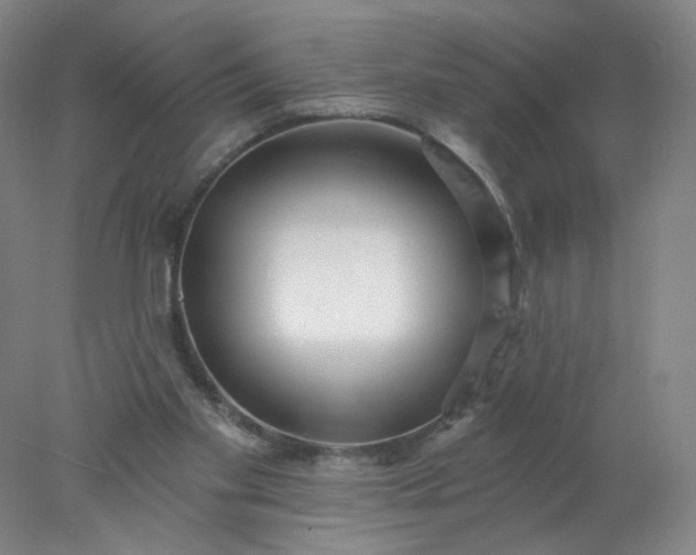 X0000077980109200611101712