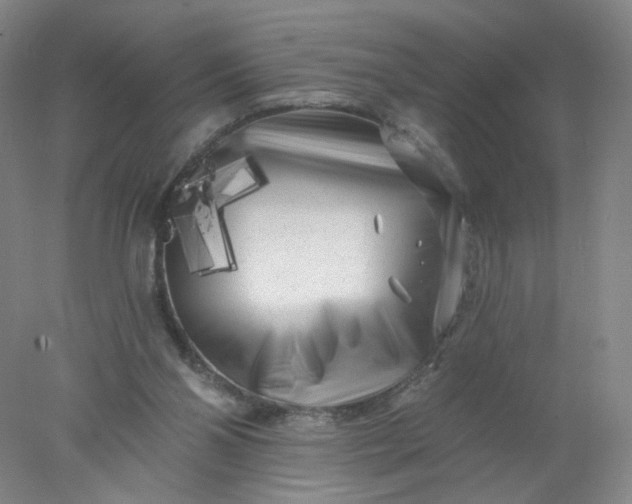 X0000077980110200611101712