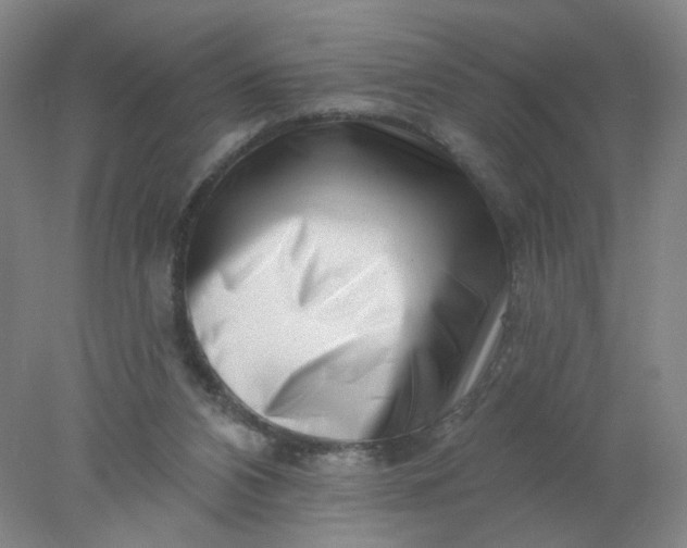 X0000077980112200611101712