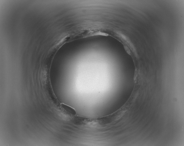 X0000077980113200611101712